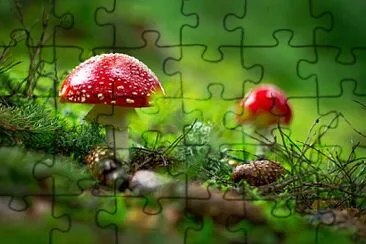 Foto jigsaw puzzle