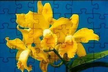 OK jigsaw puzzle