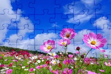 OK jigsaw puzzle