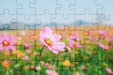 flowers jigsaw puzzle