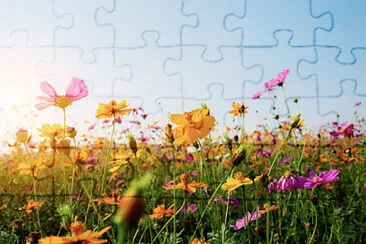 flowers jigsaw puzzle