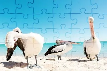 natural jigsaw puzzle