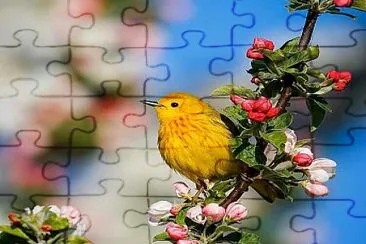 flores jigsaw puzzle