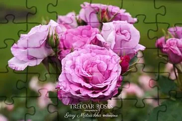 flores jigsaw puzzle