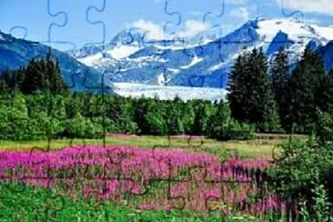 Foto jigsaw puzzle