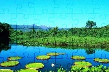 Foto jigsaw puzzle