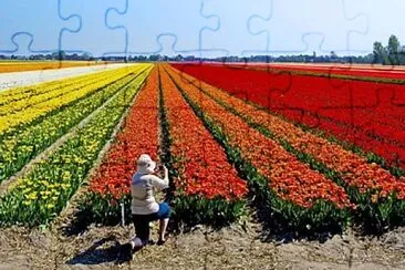 Foto jigsaw puzzle