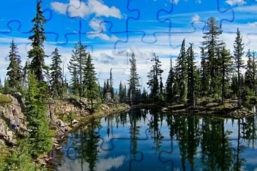 Foto jigsaw puzzle