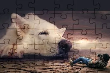 Foto jigsaw puzzle