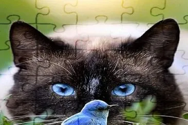 natural jigsaw puzzle