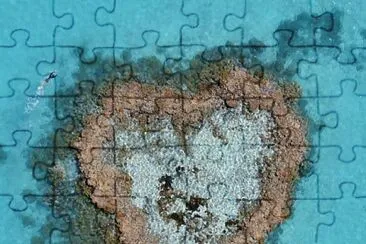 natural jigsaw puzzle