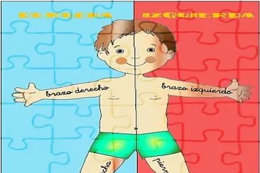 cuerpo jigsaw puzzle