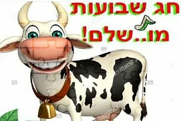 פאזל של zilaa1234