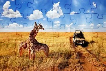 Picture jigsaw puzzle