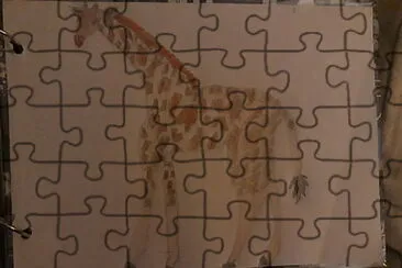  jigsaw puzzle