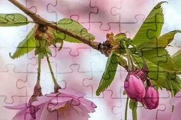 imagem jigsaw puzzle