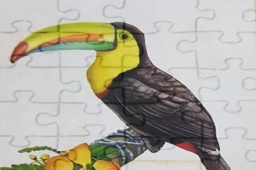 Tucan jigsaw puzzle