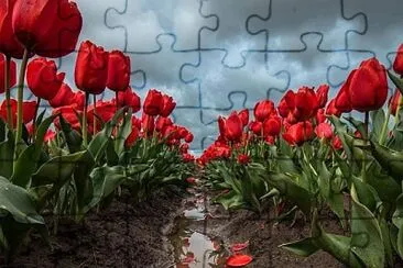 2 jigsaw puzzle