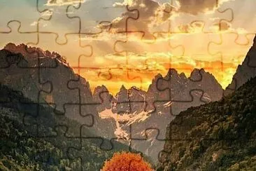 4 jigsaw puzzle