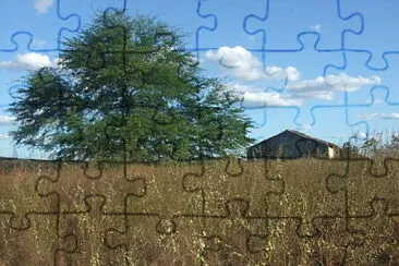 Foto jigsaw puzzle