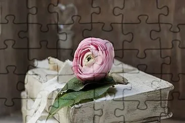 Foto jigsaw puzzle