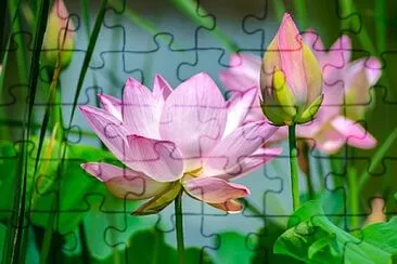 Foto jigsaw puzzle