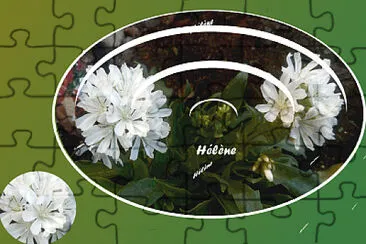 2 Fleurs Blanches jigsaw puzzle