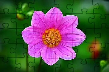 Foto jigsaw puzzle