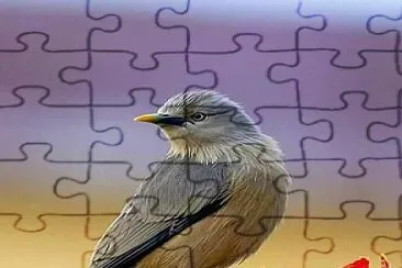 natural jigsaw puzzle