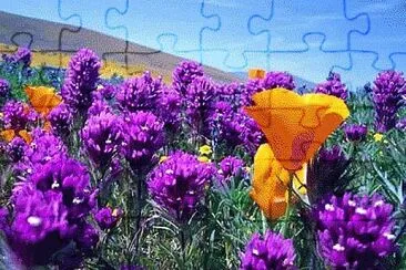 Foto jigsaw puzzle