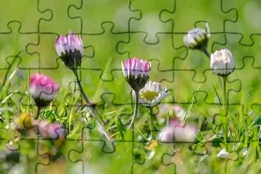 Toy jigsaw puzzle