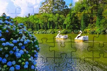 Foto jigsaw puzzle