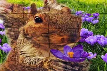 Squirrel with Flower jigsaw puzzle