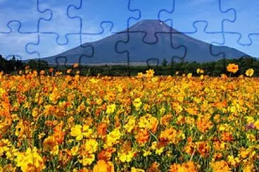 OK jigsaw puzzle