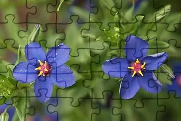 OK jigsaw puzzle