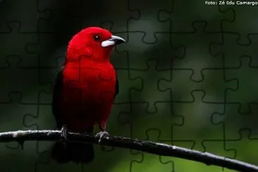 natural jigsaw puzzle