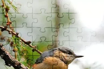 natural jigsaw puzzle