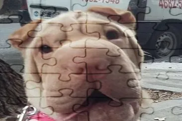 Bella jigsaw puzzle