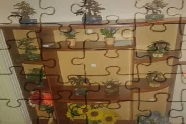 mi casa jigsaw puzzle