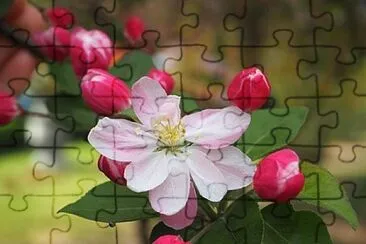 OK jigsaw puzzle