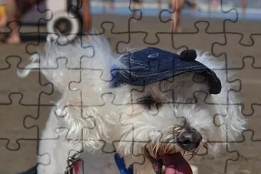 Delfi jigsaw puzzle