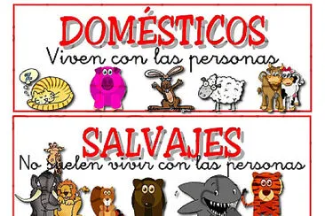 ANIMALES SALVAJES Y DOMÃ‰STICOS