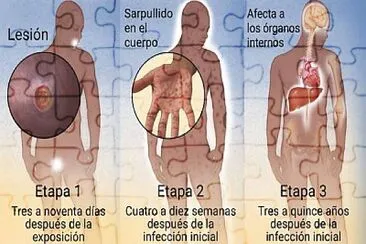 BIOLOGÃA jigsaw puzzle