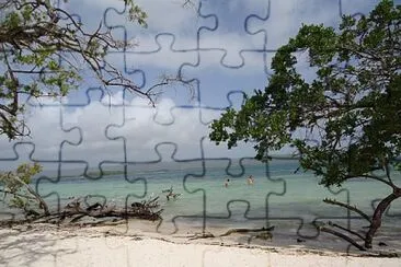 playa jigsaw puzzle