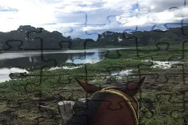 Caballo al rÃ­o