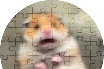 Hammi jigsaw puzzle