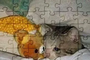 Kitty jigsaw puzzle