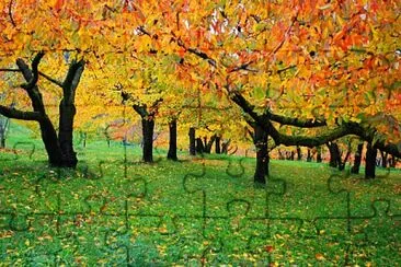 autunno jigsaw puzzle