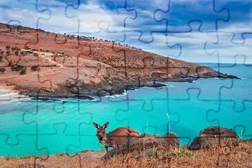 natural jigsaw puzzle