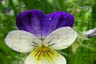 flores jigsaw puzzle